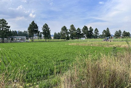 喜报｜我院获批2025年金华市科技局项目1项